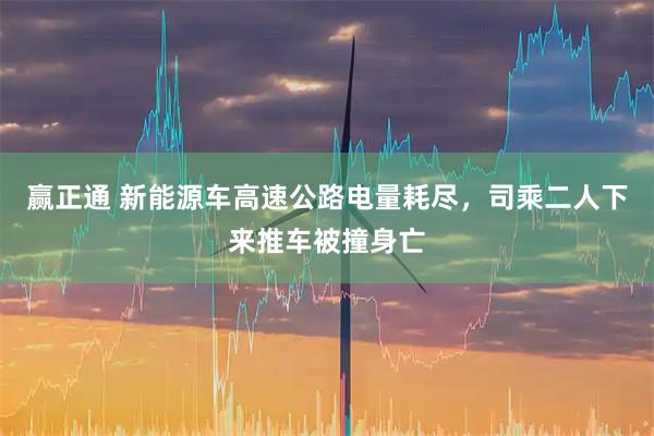 赢正通 新能源车高速公路电量耗尽，司乘二人下来推车被撞身亡